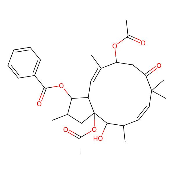2D Structure of [(1R,2R,3aS,4S,5R,6Z,11R,12E,13aS)-3a,11-diacetyloxy-4-hydroxy-2,5,8,8,12-pentamethyl-9-oxo-1,2,3,4,5,10,11,13a-octahydrocyclopenta[12]annulen-1-yl] benzoate