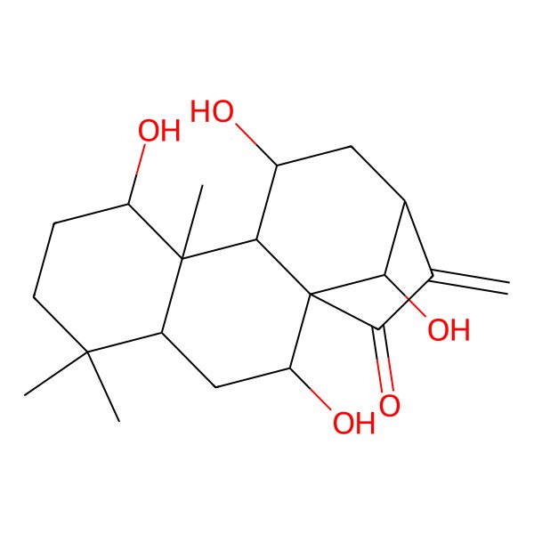 2D Structure of 2,8,11,16-Tetrahydroxy-5,5,9-trimethyl-14-methylidenetetracyclo[11.2.1.01,10.04,9]hexadecan-15-one