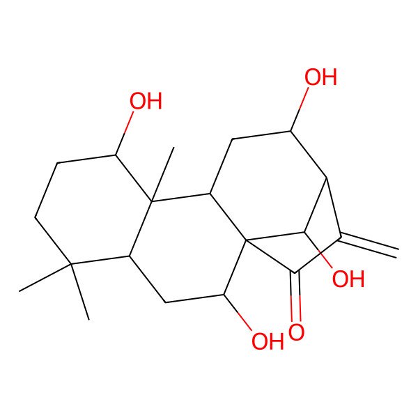 2D Structure of 2,8,12,16-Tetrahydroxy-5,5,9-trimethyl-14-methylidenetetracyclo[11.2.1.01,10.04,9]hexadecan-15-one