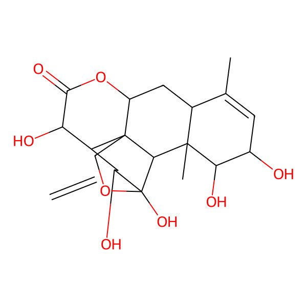 2D Structure of 4,5,8,16,17-Pentahydroxy-14,18-dimethyl-6-methylidene-3,10-dioxapentacyclo[9.8.0.01,7.04,19.013,18]nonadec-14-en-9-one