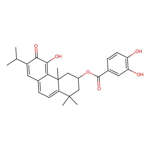2D Structure of (5-hydroxy-1,1,4a-trimethyl-6-oxo-7-propan-2-yl-3,4-dihydro-2H-phenanthren-3-yl) 3,4-dihydroxybenzoate
