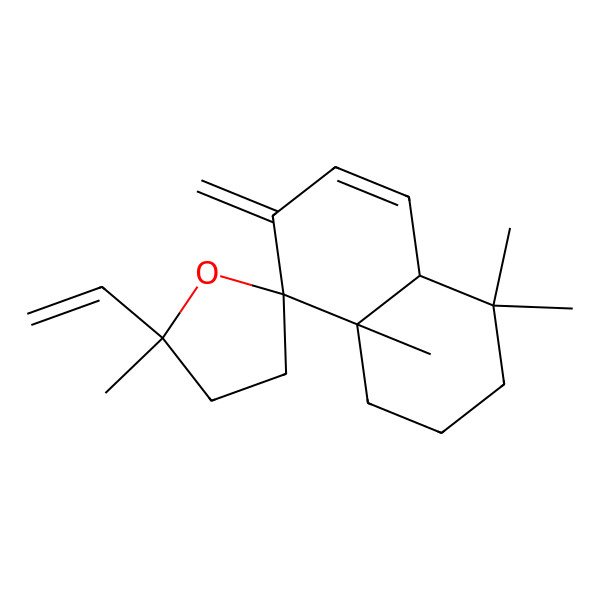 2D Structure of (4aS,5'S,8R,8aS)-5'-ethenyl-4,4,5',8a-tetramethyl-7-methylidenespiro[1,2,3,4a-tetrahydronaphthalene-8,2'-oxolane]