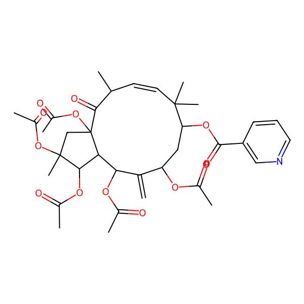 2D Structure of [(1S,2S,3aS,5S,6E,9S,11S,13S,13aR)-1,2,3a,11,13-pentaacetyloxy-2,5,8,8-tetramethyl-12-methylidene-4-oxo-1,3,5,9,10,11,13,13a-octahydrocyclopenta[12]annulen-9-yl] pyridine-3-carboxylate