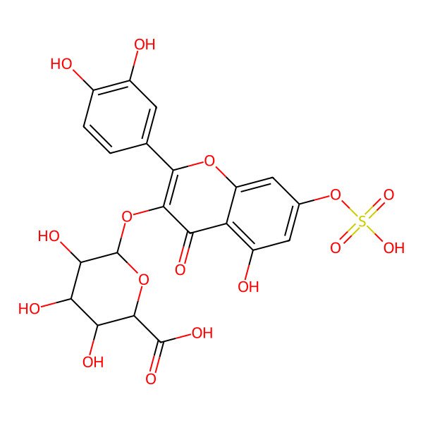 2D Structure of (2S,3S,4R,5R,6S)-6-[2-(3,4-dihydroxyphenyl)-5-hydroxy-4-oxo-7-sulfooxychromen-3-yl]oxy-3,4,5-trihydroxyoxane-2-carboxylic acid