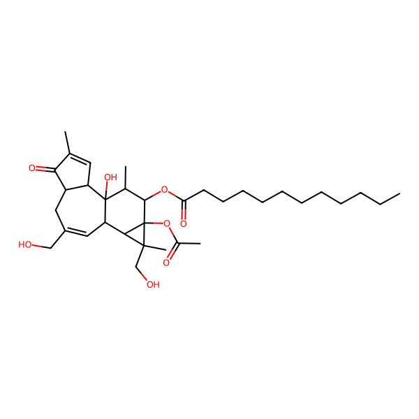 2D Structure of [(1R,2R,6R,10R,11R,12S,13S,14R,15R)-13-acetyloxy-1-hydroxy-8,12-bis(hydroxymethyl)-4,12,15-trimethyl-5-oxo-14-tetracyclo[8.5.0.02,6.011,13]pentadeca-3,8-dienyl] dodecanoate