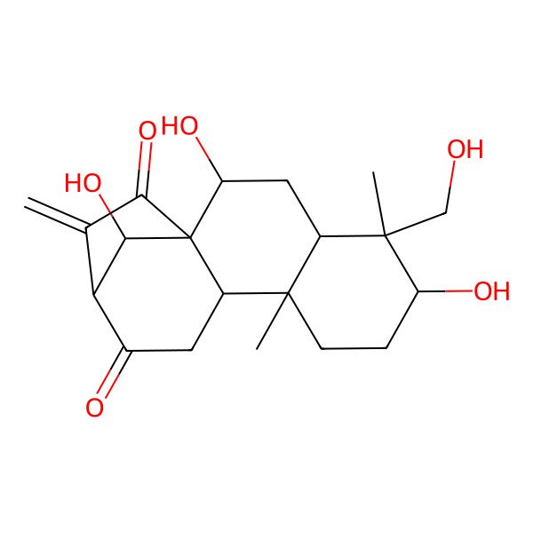 2D Structure of (1R,2R,4S,5S,6S,9R,10S,13S,16R)-2,6,16-trihydroxy-5-(hydroxymethyl)-5,9-dimethyl-14-methylidenetetracyclo[11.2.1.01,10.04,9]hexadecane-12,15-dione