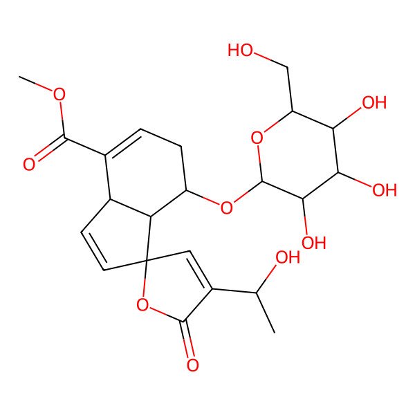 2D Structure of Methyl 4'-(1-hydroxyethyl)-5'-oxo-7-[3,4,5-trihydroxy-6-(hydroxymethyl)oxan-2-yl]oxyspiro[3a,6,7,7a-tetrahydroindene-1,2'-furan]-4-carboxylate