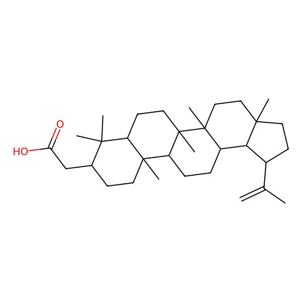 2D Structure of 2-(3a,5a,5b,8,8,11a-Hexamethyl-1-prop-1-en-2-yl-1,2,3,4,5,6,7,7a,9,10,11,11b,12,13,13a,13b-hexadecahydrocyclopenta[a]chrysen-9-yl)acetic acid