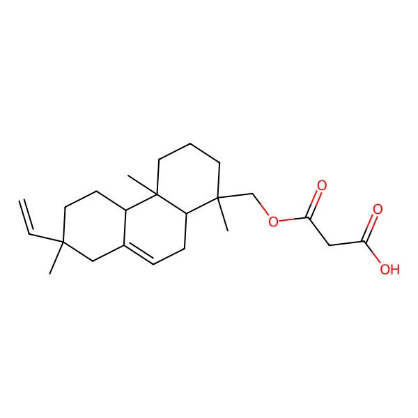 2D Structure of 3-[(7-ethenyl-1,4a,7-trimethyl-3,4,4b,5,6,8,10,10a-octahydro-2H-phenanthren-1-yl)methoxy]-3-oxopropanoic acid