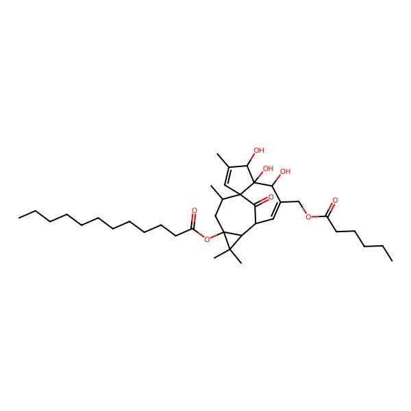 2D Structure of [7-(Hexanoyloxymethyl)-4,5,6-trihydroxy-3,11,11,14-tetramethyl-15-oxo-12-tetracyclo[7.5.1.01,5.010,12]pentadeca-2,7-dienyl] dodecanoate