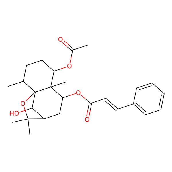 2D Structure of [(1S,2R,5S,6S,7S,9R,12R)-5-acetyloxy-12-hydroxy-2,6,10,10-tetramethyl-11-oxatricyclo[7.2.1.01,6]dodecan-7-yl] (E)-3-phenylprop-2-enoate