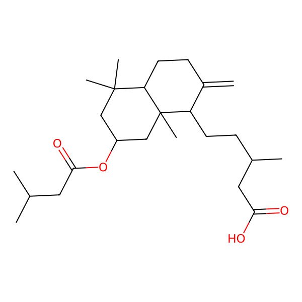 2D Structure of (3S)-5-[(1S,4aR,7S,8aR)-5,5,8a-trimethyl-7-(3-methylbutanoyloxy)-2-methylidene-3,4,4a,6,7,8-hexahydro-1H-naphthalen-1-yl]-3-methylpentanoic acid