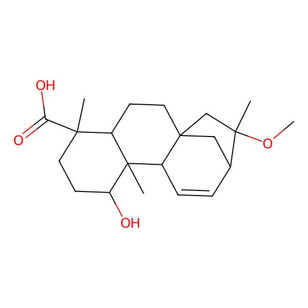 2D Structure of (1R,4R,5R,8R,9S,10S,13S,14S)-8-hydroxy-14-methoxy-5,9,14-trimethyltetracyclo[11.2.1.01,10.04,9]hexadec-11-ene-5-carboxylic acid