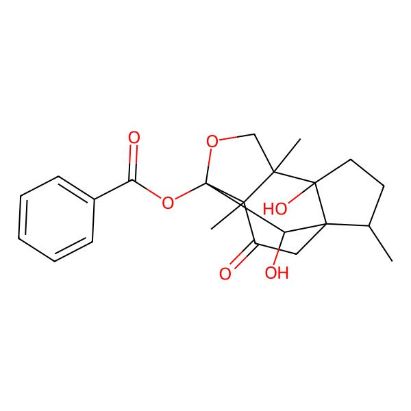 2D Structure of [(1S,2R,5S,6S,9S,10S,13R)-5,13-dihydroxy-2,6,10-trimethyl-11-oxo-8-oxatetracyclo[7.3.1.01,5.06,10]tridecan-9-yl] benzoate