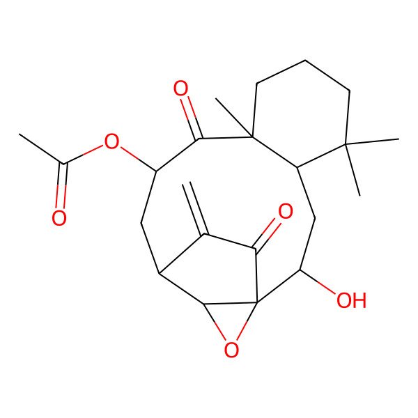 2D Structure of [(1R,2R,4R,9R,11S,13S,14R)-2-hydroxy-5,5,9-trimethyl-17-methylidene-10,16-dioxo-15-oxatetracyclo[11.2.2.01,14.04,9]heptadecan-11-yl] acetate