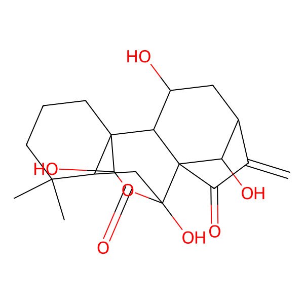 2D Structure of 3,9,16,18-Tetrahydroxy-12,12-dimethyl-6-methylidene-17-oxapentacyclo[7.6.2.15,8.01,11.02,8]octadecane-7,10-dione