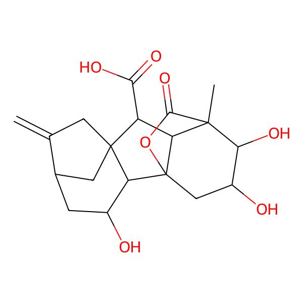 2D Structure of (1S,2S,3S,5S,8R,9S,10R,11S,12R,13S)-3,12,13-trihydroxy-11-methyl-6-methylidene-16-oxo-15-oxapentacyclo[9.3.2.15,8.01,10.02,8]heptadecane-9-carboxylic acid