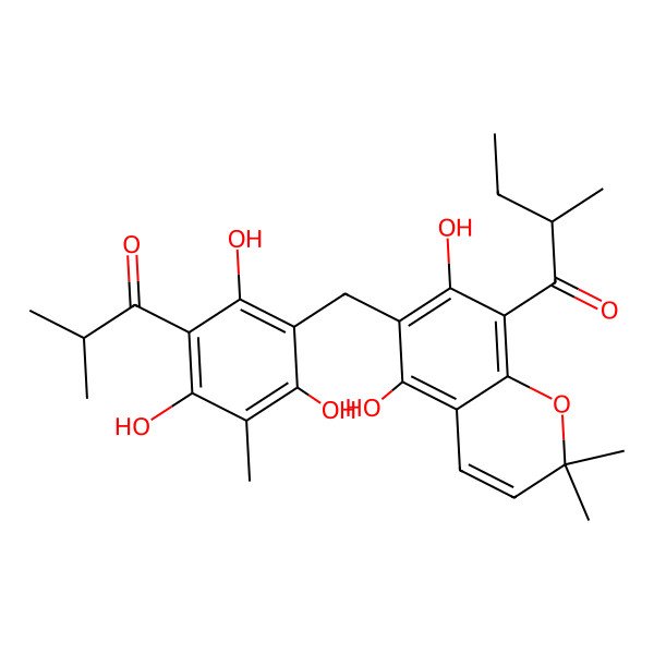 2D Structure of (2R)-1-[5,7-dihydroxy-2,2-dimethyl-6-[[2,4,6-trihydroxy-3-methyl-5-(2-methylpropanoyl)phenyl]methyl]chromen-8-yl]-2-methylbutan-1-one