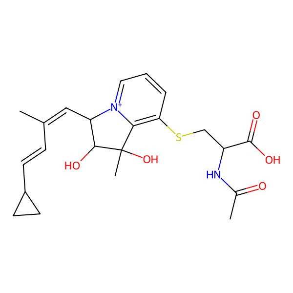 2D Structure of 2-Acetamido-3-[[3-(4-cyclopropyl-2-methylbuta-1,3-dienyl)-1,2-dihydroxy-1-methyl-2,3-dihydroindolizin-4-ium-8-yl]sulfanyl]propanoic acid