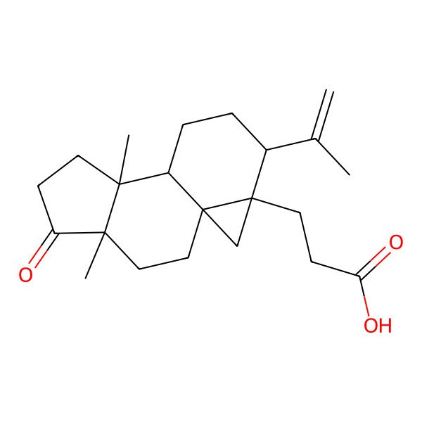 2D Structure of 3-[(1S,4S,8S,9R,12S,13R)-4,8-dimethyl-5-oxo-12-prop-1-en-2-yl-13-tetracyclo[7.5.0.01,13.04,8]tetradecanyl]propanoic acid