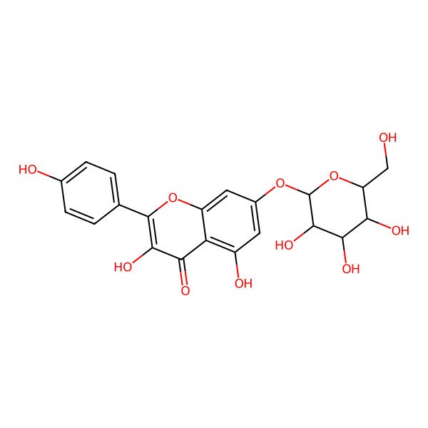 2D Structure of 3,5-dihydroxy-2-(4-hydroxyphenyl)-7-[(2R,3S,4R,5R,6S)-3,4,5-trihydroxy-6-(hydroxymethyl)oxan-2-yl]oxychromen-4-one