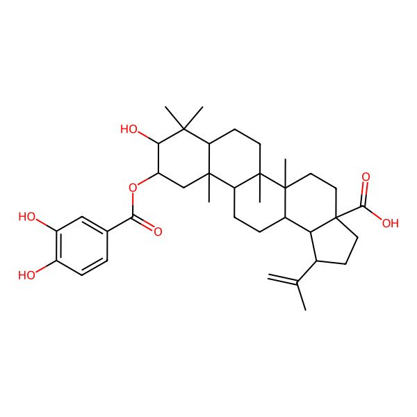 2D Structure of (2alpha,3beta)-2-[(3,4-Dihydroxybenzoyl)oxy]-3-hydroxylup-20(29)-en-28-oic acid