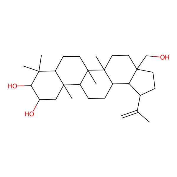 2D Structure of (2alpha,3beta)-Lup-20(29)-ene-2,3,28-triol