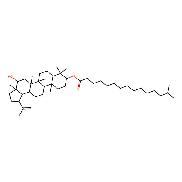 2D Structure of (4-Hydroxy-3a,5a,5b,8,8,11a-hexamethyl-1-prop-1-en-2-yl-1,2,3,4,5,6,7,7a,9,10,11,11b,12,13,13a,13b-hexadecahydrocyclopenta[a]chrysen-9-yl) 14-methylpentadecanoate