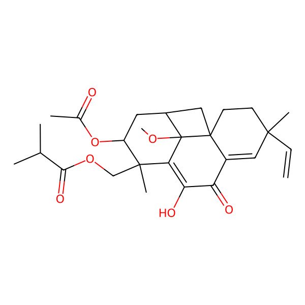 2D Structure of (11-Acetyloxy-4-ethenyl-8-hydroxy-15-methoxy-4,10-dimethyl-7-oxo-10-tetracyclo[7.5.1.01,6.013,15]pentadeca-5,8-dienyl)methyl 2-methylpropanoate