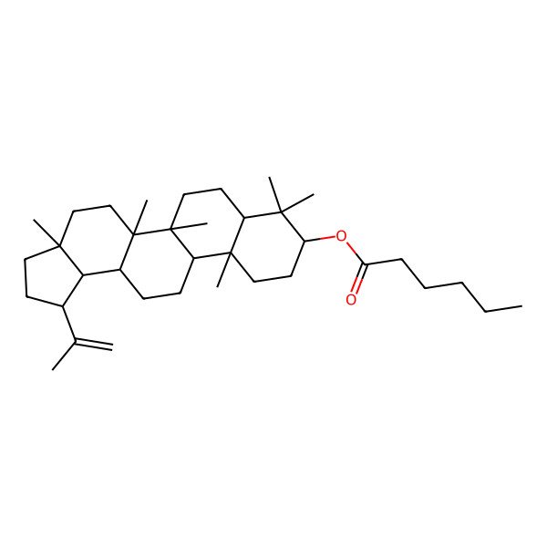 2D Structure of (3a,5a,5b,8,8,11a-Hexamethyl-1-prop-1-en-2-yl-1,2,3,4,5,6,7,7a,9,10,11,11b,12,13,13a,13b-hexadecahydrocyclopenta[a]chrysen-9-yl) hexanoate