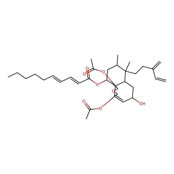 2D Structure of [(1R,3S,5S,6aR,7S,8S,10R,10aR)-1,3-diacetyloxy-5-hydroxy-7,8-dimethyl-7-(3-methylidenepent-4-enyl)-1,3,5,6,6a,8,9,10-octahydrobenzo[d][2]benzofuran-10-yl] (2Z,4E)-deca-2,4-dienoate