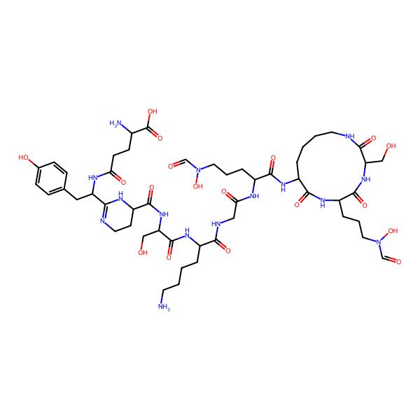 2D Structure of 2-Amino-5-[[1-[6-[[1-[[6-amino-1-[[2-[[5-[formyl(hydroxy)amino]-1-[[6-[3-[formyl(hydroxy)amino]propyl]-3-(hydroxymethyl)-2,5,8-trioxo-1,4,7-triazacyclotridec-9-yl]amino]-1-oxopentan-2-yl]amino]-2-oxoethyl]amino]-1-oxohexan-2-yl]amino]-3-hydroxy-1-oxopropan-2-yl]carbamoyl]-1,4,5,6-tetrahydropyrimidin-2-yl]-2-(4-hydroxyphenyl)ethyl]amino]-5-oxopentanoic acid