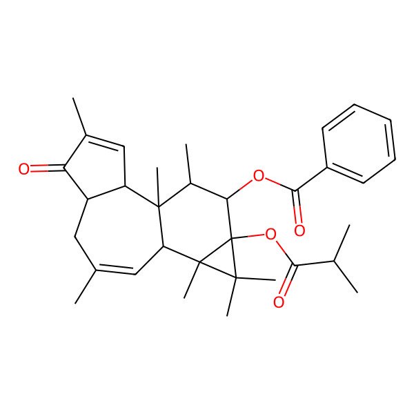 2D Structure of [(1R,2R,6R,10R,11R,13R,14R,15S)-1,4,8,11,12,12,15-heptamethyl-13-(2-methylpropanoyloxy)-5-oxo-14-tetracyclo[8.5.0.02,6.011,13]pentadeca-3,8-dienyl] benzoate