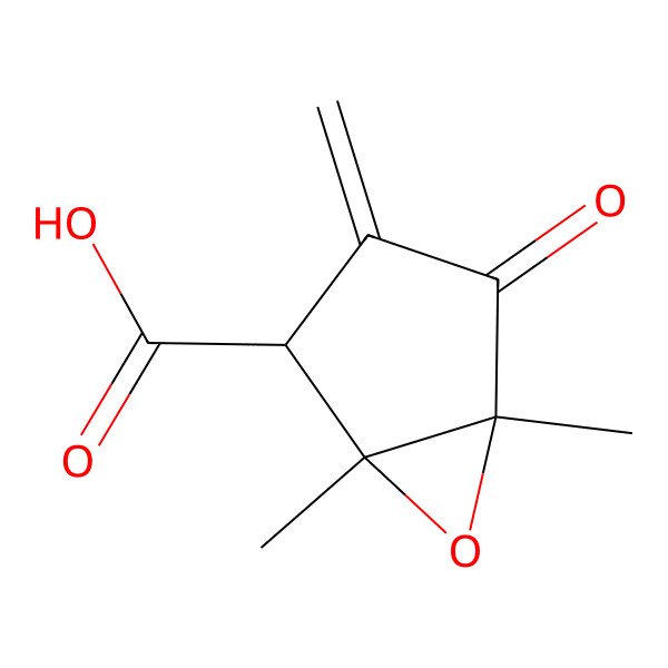 2D Structure of (1R,2S,5R)-1,5-Dimethyl-3-methylidene-4-oxo-6-oxabicyclo[3.1.0]hexane-2-carboxylic acid