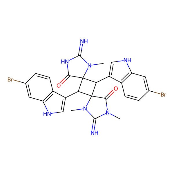 2D Structure of 6,12-bis(6-bromo-1H-indol-3-yl)-3,10-diimino-4,9,11-trimethyl-2,4,9,11-tetrazadispiro[4.1.47.15]dodecane-1,8-dione