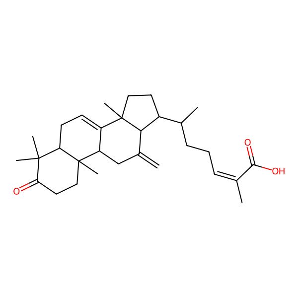 2D Structure of (Z,6R)-2-methyl-6-[(5R,9R,10R,13S,14R,17R)-4,4,10,14-tetramethyl-12-methylidene-3-oxo-1,2,5,6,9,11,13,15,16,17-decahydrocyclopenta[a]phenanthren-17-yl]hept-2-enoic acid
