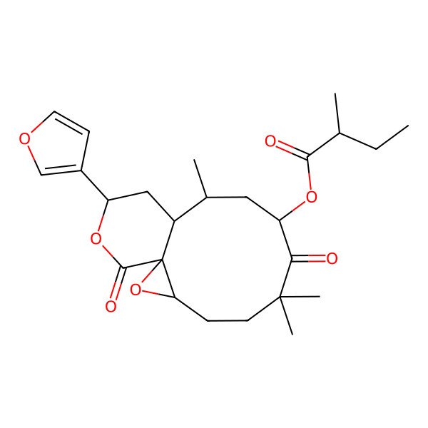 2D Structure of [(1S,3S,8S,10R,11S,13R)-13-(furan-3-yl)-6,6,10-trimethyl-7,15-dioxo-2,14-dioxatricyclo[9.4.0.01,3]pentadecan-8-yl] (2R)-2-methylbutanoate