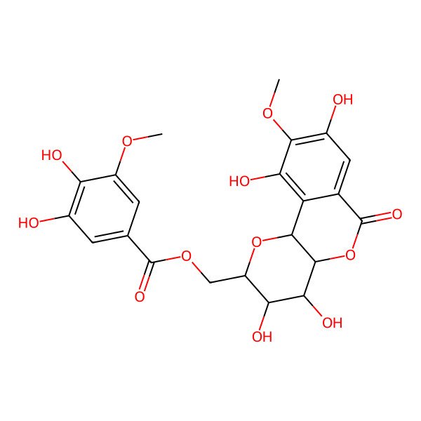 2D Structure of [(2R,3S,4S,4aR,10bS)-3,4,8,10-tetrahydroxy-9-methoxy-6-oxo-3,4,4a,10b-tetrahydro-2H-pyrano[3,2-c]isochromen-2-yl]methyl 3,4-dihydroxy-5-methoxybenzoate