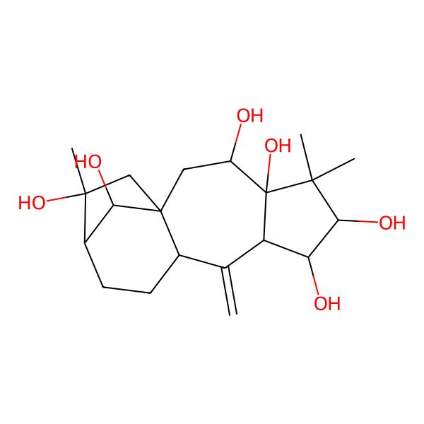 2D Structure of (1S,3S,4R,6R,7S,8R,10S,13R,14R,16R)-5,5,14-trimethyl-9-methylidenetetracyclo[11.2.1.01,10.04,8]hexadecane-3,4,6,7,14,16-hexol