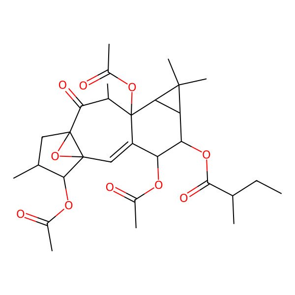 2D Structure of [(1S,4R,5R,9S,10S,12R,15S)-4,9,15-triacetyloxy-7,7,10,14-tetramethyl-11-oxo-16-oxapentacyclo[10.3.1.01,12.03,9.06,8]hexadec-2-en-5-yl] 2-methylbutanoate