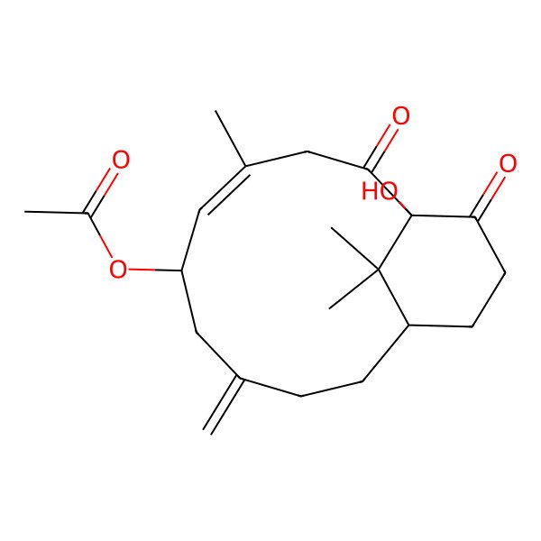 2D Structure of [(1R,4E,6S,11R)-1-hydroxy-4,15,15-trimethyl-8-methylidene-2,14-dioxo-6-bicyclo[9.3.1]pentadec-4-enyl] acetate