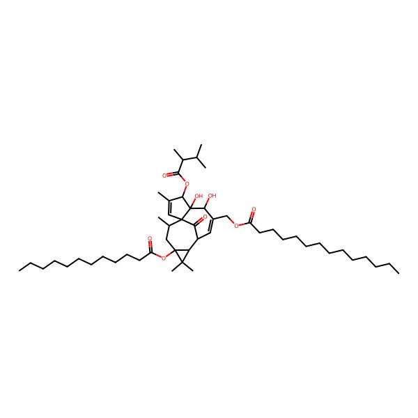 2D Structure of [4-(2,3-Dimethylbutanoyloxy)-12-dodecanoyloxy-5,6-dihydroxy-3,11,11,14-tetramethyl-15-oxo-7-tetracyclo[7.5.1.01,5.010,12]pentadeca-2,7-dienyl]methyl tetradecanoate