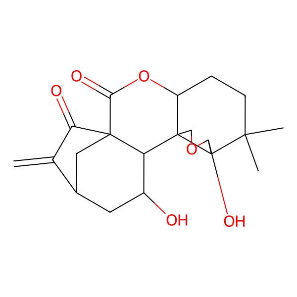 2D Structure of (1S,4S,8R,12S,13S,16S)-9,14-dihydroxy-7,7-dimethyl-17-methylidene-3,10-dioxapentacyclo[14.2.1.01,13.04,12.08,12]nonadecane-2,18-dione