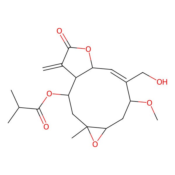 2D Structure of [(1R,2R,4S,6S,8S,9Z,11R)-9-(hydroxymethyl)-8-methoxy-4-methyl-14-methylidene-13-oxo-5,12-dioxatricyclo[9.3.0.04,6]tetradec-9-en-2-yl] 2-methylpropanoate