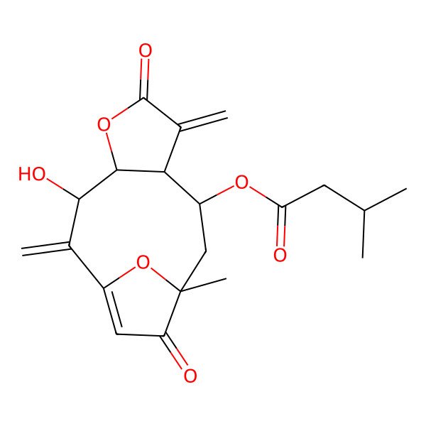2D Structure of (3-Hydroxy-11-methyl-2,7-dimethylidene-6,12-dioxo-5,14-dioxatricyclo[9.2.1.04,8]tetradec-1(13)-en-9-yl) 3-methylbutanoate