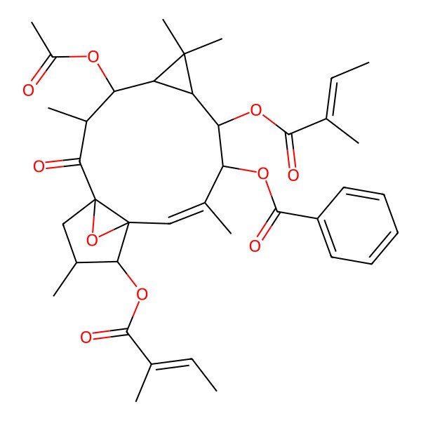 2D Structure of [(1R,3R,4S,5R,7S,8S,9R,10E,12S,13S,14S)-4-acetyloxy-3,6,6,10,14-pentamethyl-8,13-bis[[(E)-2-methylbut-2-enoyl]oxy]-2-oxo-16-oxatetracyclo[10.3.1.01,12.05,7]hexadec-10-en-9-yl] benzoate