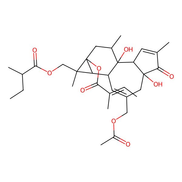 2D Structure of [(1R,2S,6R,10S,11R,12S,13S,15R)-8-(acetyloxymethyl)-1,6-dihydroxy-4,12,15-trimethyl-13-(2-methylbut-2-enoyloxy)-5-oxo-12-tetracyclo[8.5.0.02,6.011,13]pentadeca-3,8-dienyl]methyl 2-methylbutanoate