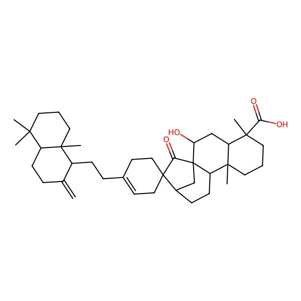 2D Structure of (1'R,2'S,4R,4'S,5'R,9'S,10'S,13'R)-1-[2-[(1R,4aR,8aR)-5,5,8a-trimethyl-2-methylidene-3,4,4a,6,7,8-hexahydro-1H-naphthalen-1-yl]ethyl]-2'-hydroxy-5',9'-dimethyl-15'-oxospiro[cyclohexene-4,14'-tetracyclo[11.2.1.01,10.04,9]hexadecane]-5'-carboxylic acid