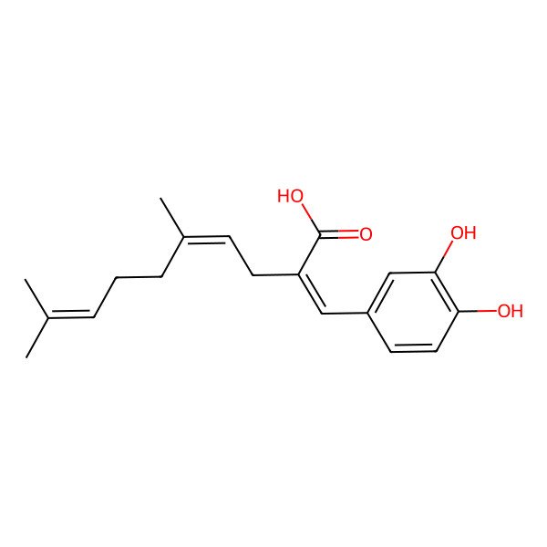 2D Structure of (2E,4E)-2-[(3,4-dihydroxyphenyl)methylidene]-5,9-dimethyldeca-4,8-dienoic acid