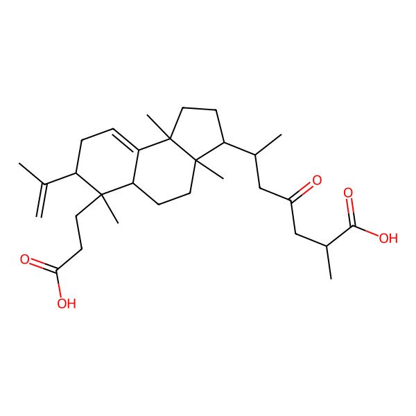 2D Structure of (2R,6R)-6-[(3R,3aR,5aS,6S,7S,9bR)-6-(2-carboxyethyl)-3a,6,9b-trimethyl-7-prop-1-en-2-yl-1,2,3,4,5,5a,7,8-octahydrocyclopenta[a]naphthalen-3-yl]-2-methyl-4-oxoheptanoic acid